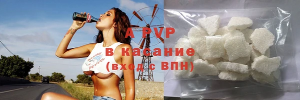 стаф Абинск