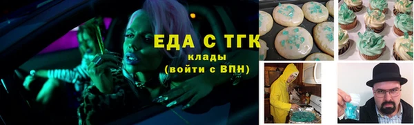 хмурый Алексин