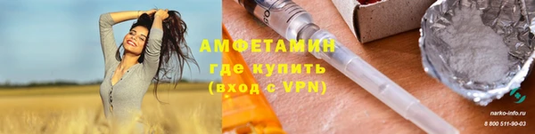 хмурый Алексин