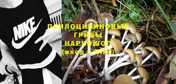 винт Абаза