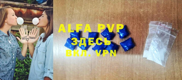 хмурый Алексин