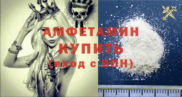хмурый Алексин