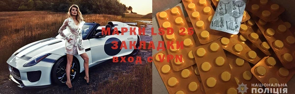 стаф Абинск