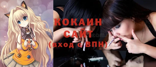 ECSTASY Алзамай
