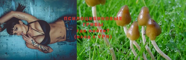 хмурый Алексин