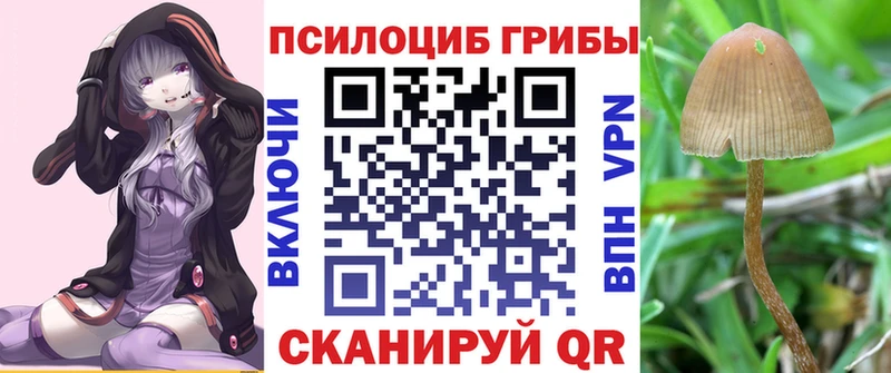 blacksprut ссылка Киренск Галлюциногенные грибы Magic Shrooms