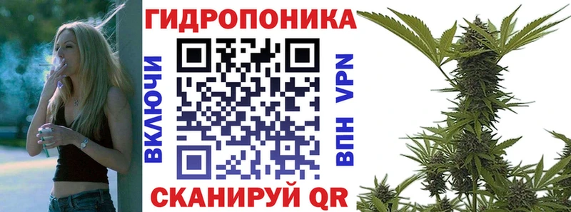 кракен зеркало Киренск Каннабис сатива дарнет шоп